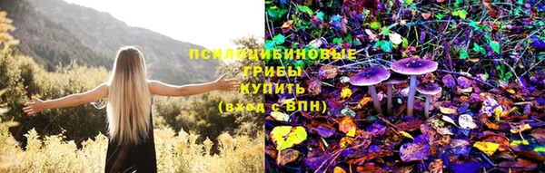 2c-b Алексеевка